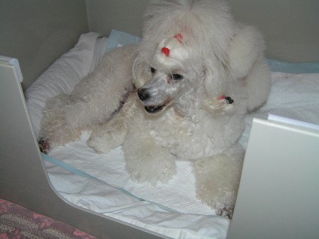 3. den: máma Dorly se mnou ...